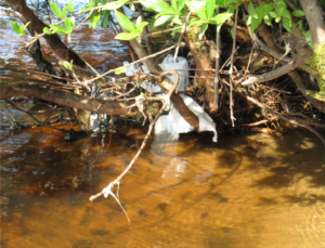 Cover photo for Agricultural Water Management During Tropical Storms