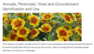 Banner for Annuals Class