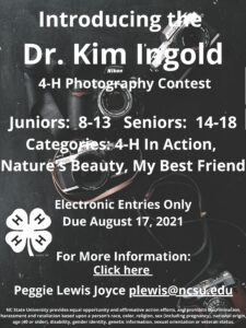 photo contest flyer
