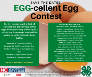 Cover photo for Egg-Cellenct Egg Contest