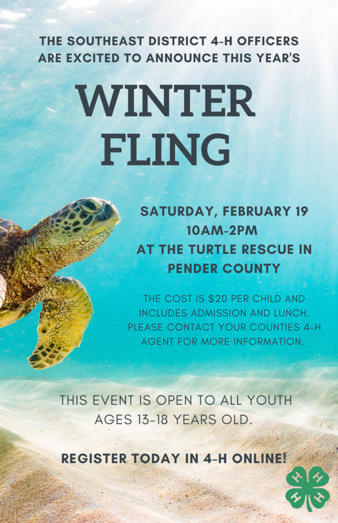 Winter Fling Flyer with an image of a turtle on it. The text that is in this photo is the same as that in the body of the text, but more information is in the body of the text