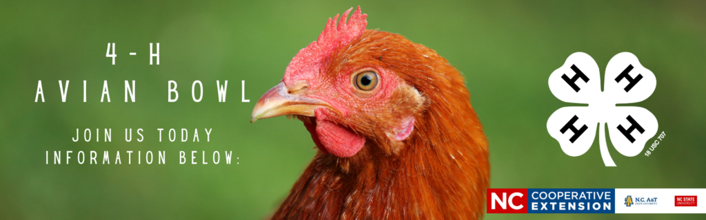 Image of Rhode Island Red Hen, with the words "4-H Avian Bowl, Join us today, information below:"