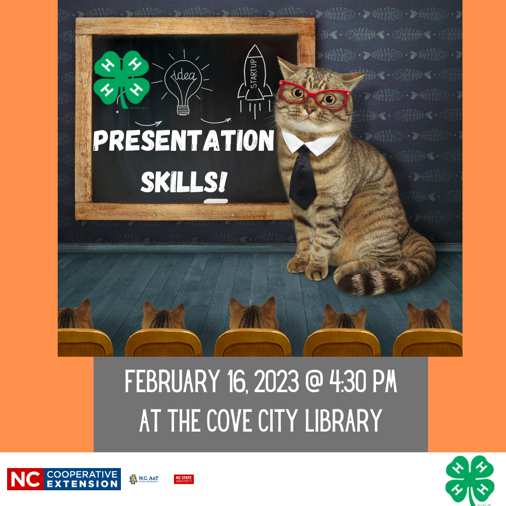 Image of cat with glasses teaching other cats and the text says:"Presentation Skills! February 16, 2023 @ 4:30 p.m. at the Cove City Library"