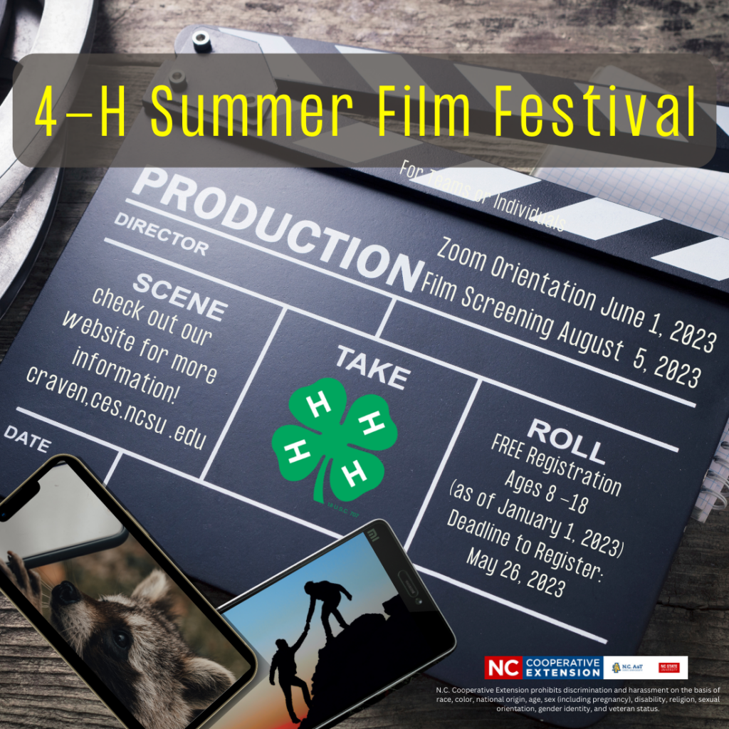 Click on the link to access the information on the Film Fest Flier Flier