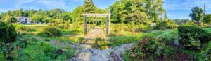 Cover photo for Rose Garden at Ag Building Undergoing Landscape Redesign